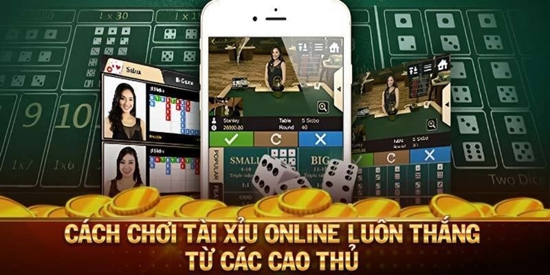 Cách tham gia Tài xỉu MD5 ku6955 chuẩn xác và hiệu quả